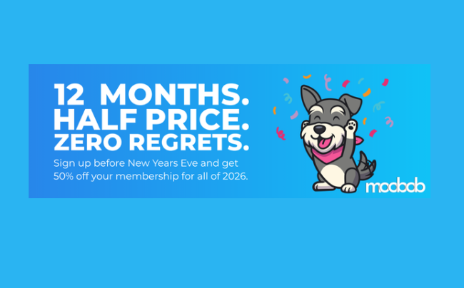 Get 12 Months Half Price with moobob